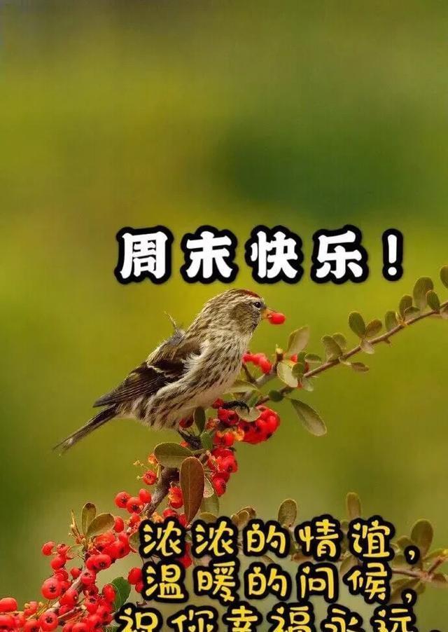 镜子|清晨到,对着镜子照,照一照,笑一笑,所有烦恼都跑掉,早安