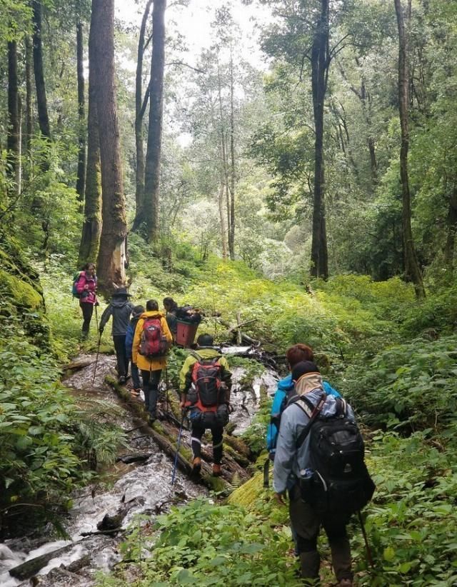 神山|无深度不云南——丽江巴拉神山徒步穿越攻略