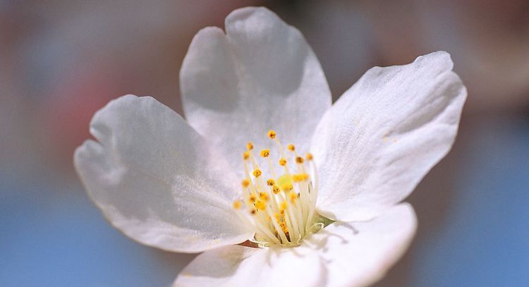 当成|被男人当成“宝”的四个生肖女, 天生丽质漂亮温柔, 让人羡慕嫉妒