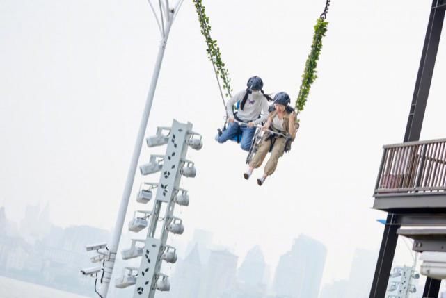 蔡徐坤|郑爽、蔡徐坤、杨洋、Angelababy、周震南