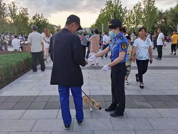 饲养|@白城养犬人士,文明养犬应该这样做