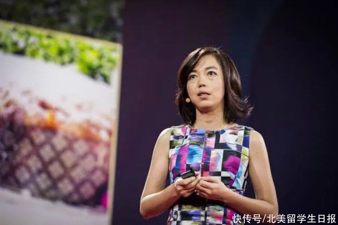 华人AI女神：从洗碗工到谷歌首席科学家，她是如何逆袭的？插图17