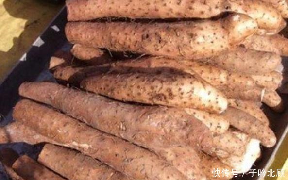 直观的区分|普通山药和铁棍山药如何区分看完涨知识了,下回不怕被老板忽悠