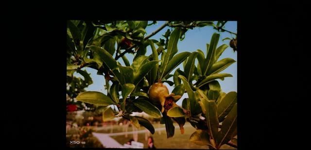  E520|一机多用，办公生活两不误，明基E520智能投影机轻体验