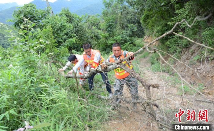  册亨|贵州册亨护林员韦正贵：守好青山绿水就守好脱贫致富的“聚宝盆”