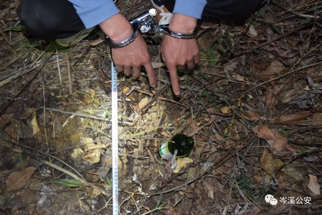 性命|打工女孩坐顺风车返乡却遭遇惊魂时刻，途中司机心生歹意逼她喝下农药！差点丢了性命