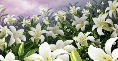 称心如意|8月1号开始运势旺, 财多福气多, 生活称心如意, 3生肖运势会爆发