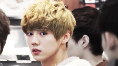  黄子韬|台媒率先官宣《创造营2020》导师，鹿晗、黄子韬有望同框！