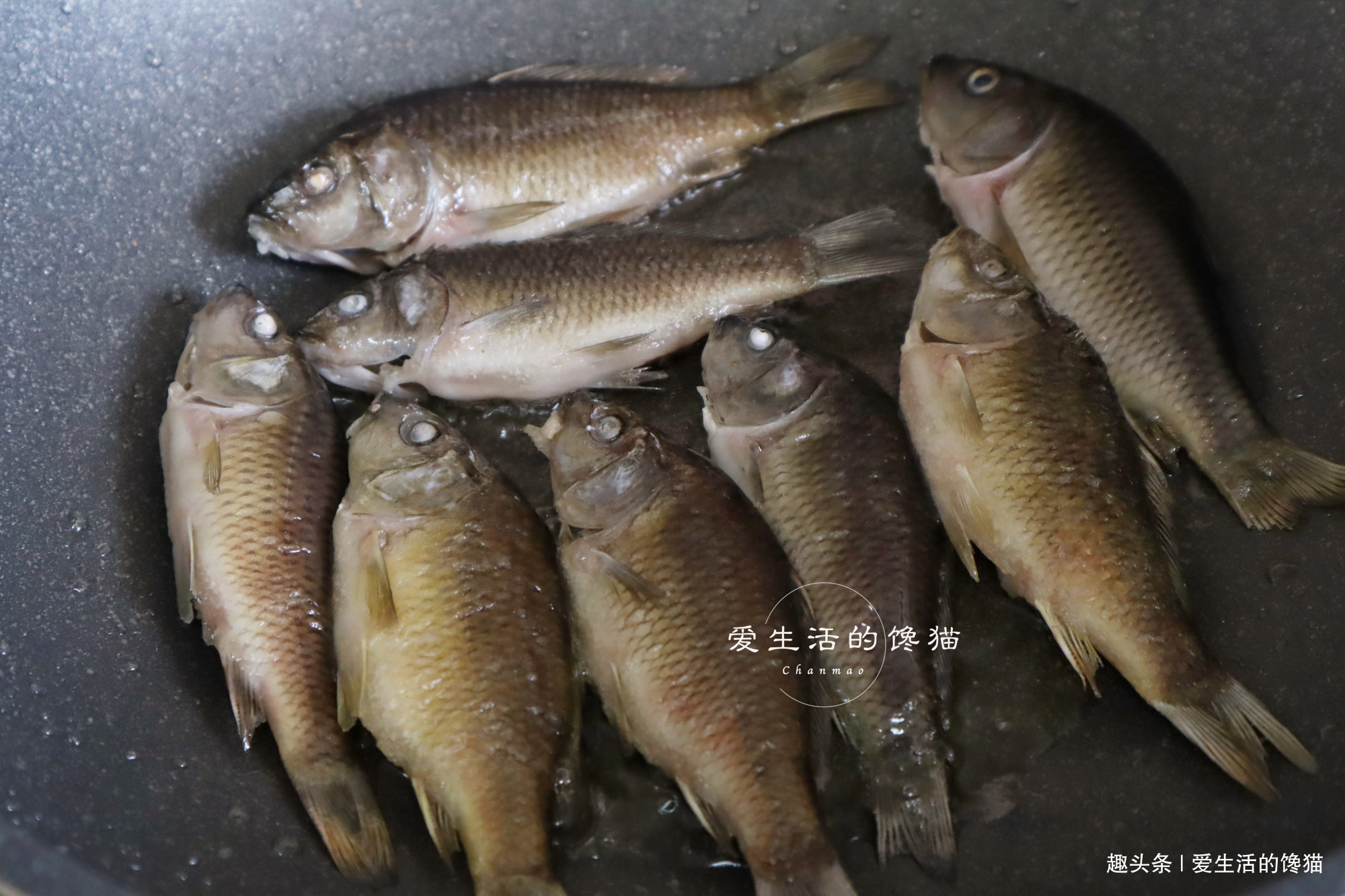 从不|碰上这鱼我从不手软,一次买3斤,焖一锅,鲜嫩美味,多吃一碗饭