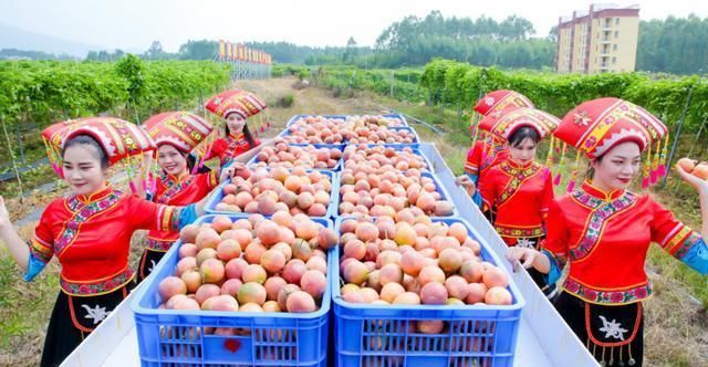 水果|这款百变网红水果,冰冰凉凉的酸甜可口夏季推荐