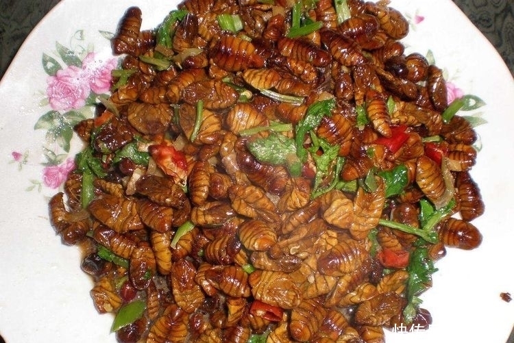 桌子|去东北小姨家“做客”,做了一大桌子的菜,吃两口就“撂筷”回家