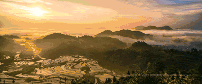 屏幕|舌尖上的浙江来了，各地美食让你隔着屏幕咽口水～