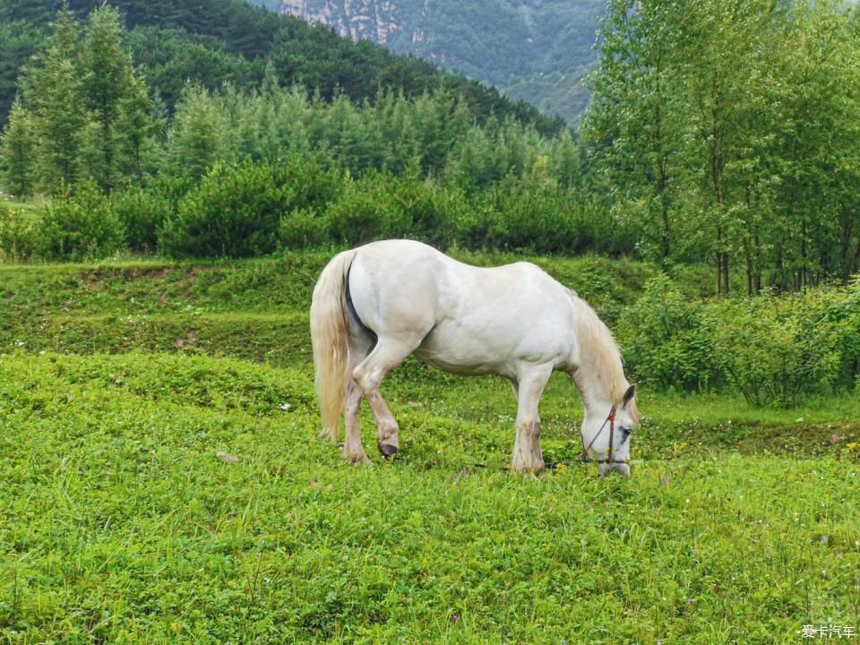  游览|游览祖国大好河山，徒步穿越北驼梁。