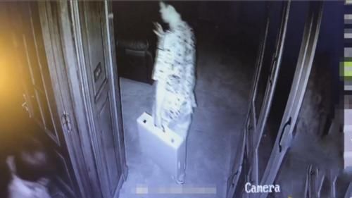  气死|14岁男孩实力坑舅舅，偷其好酒卖，舅舅“气死”：让他卖出了白菜价