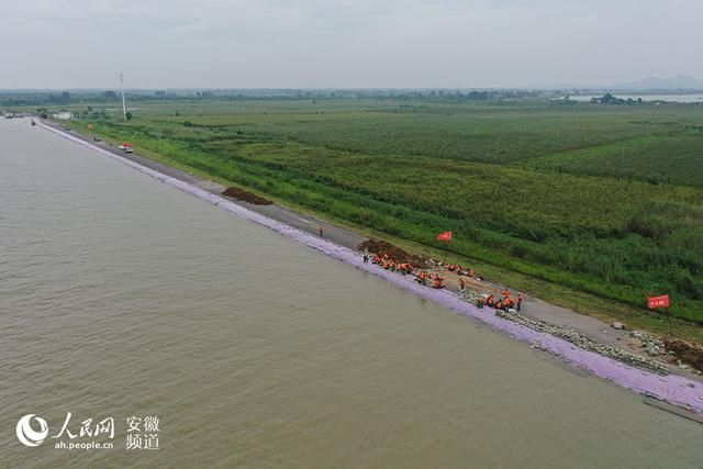 保证水位|巢湖遭遇“百年之痛”合肥正全力以赴