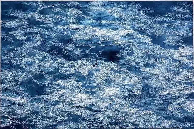  极致|一幅画画了3年，细到要用放大镜，他把钢笔画玩到了极致！