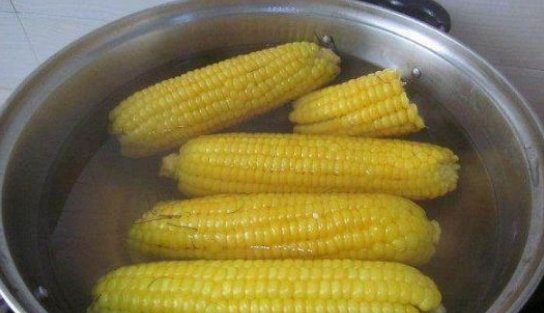  冷水|原来煮玉米还分冷水下锅和开水下锅，以前都白吃了，如此煮才健康
