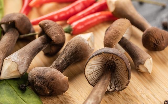 城市|你知道吗大理的旁边,藏着云南最好吃的城市