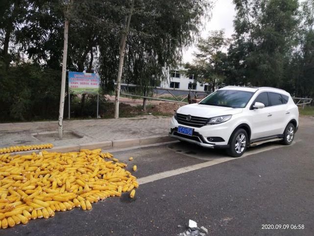 随手|不文明行为随手拍 | 看！今天这些不文明行为被曝光！