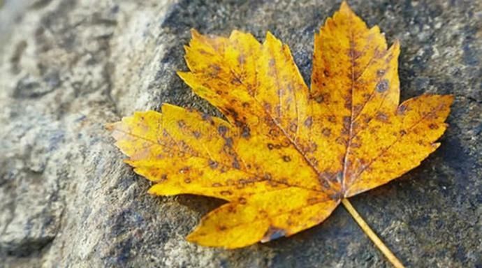 活动|来咯，秋天的第一波结对共建活动！