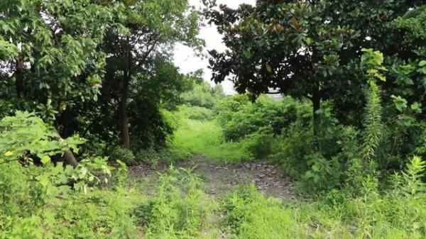  刑拘|刑拘17人！余杭警方铲除一赌博犯罪团伙