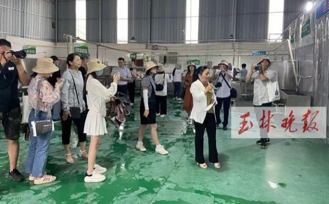 仁东镇鹏垌|令人骄傲！玉林这些地方的变化真大