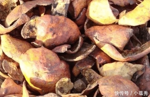 石榴皮|你家有晒干的石榴皮吗?作用真多,花钱也难买到,不懂可惜了