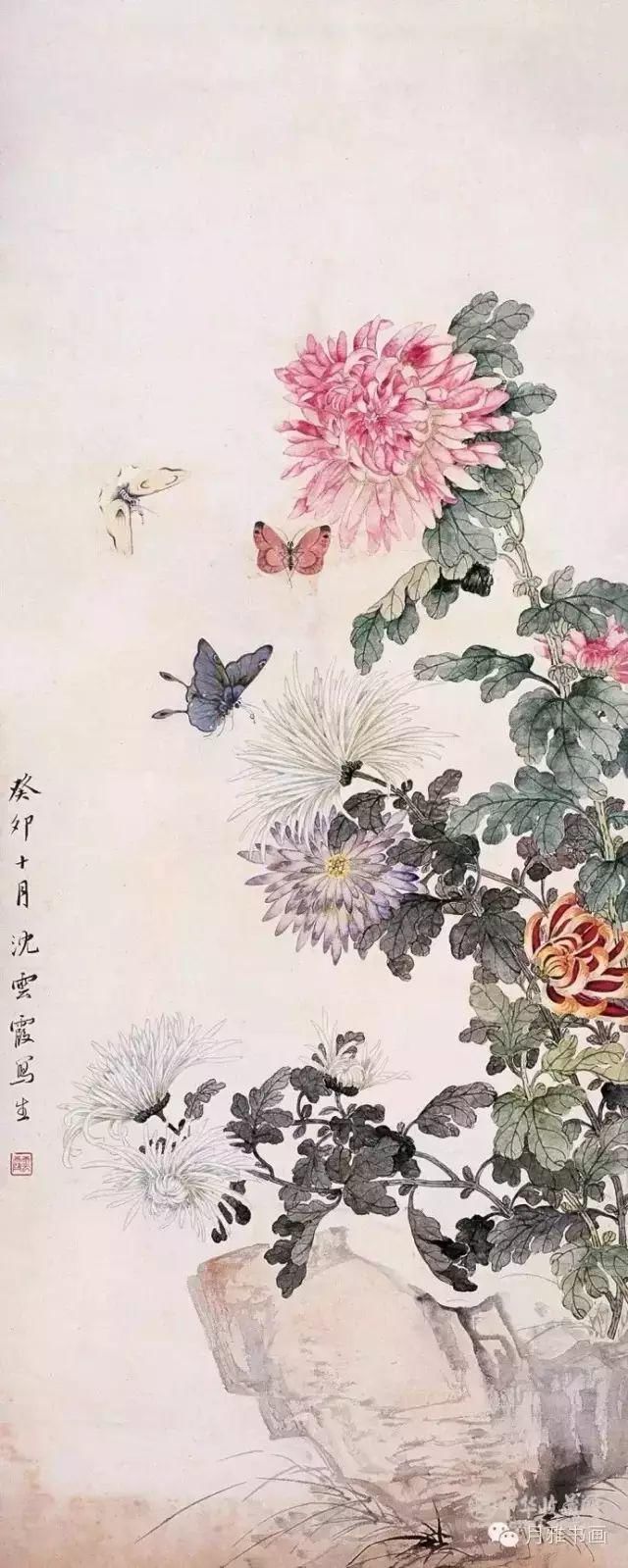  名家|秋菊佳色！——历代名家画菊