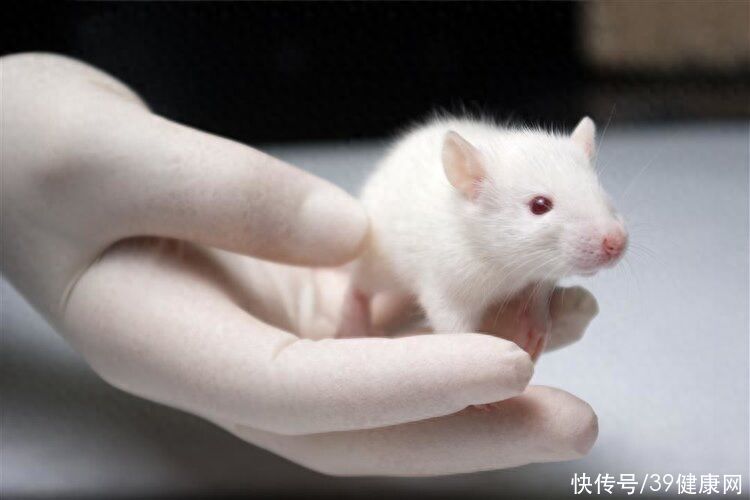 为了长寿，科学家给自己注射350万年前的细菌，如今他怎么样了？2023