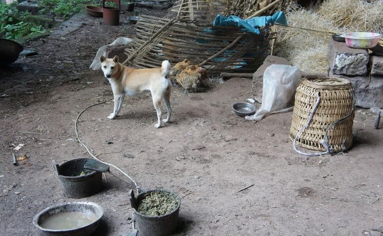  活成|老夫妻隐居山洞56年，吃腊肉喝自酿酒，常有野兽敲门，看活成啥样