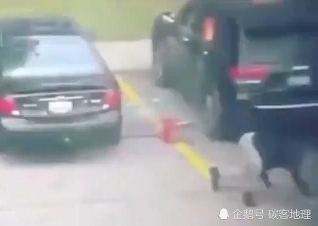 烧毁|女子用汽油烧毁前男友车辆,自己却差点成悲剧主角