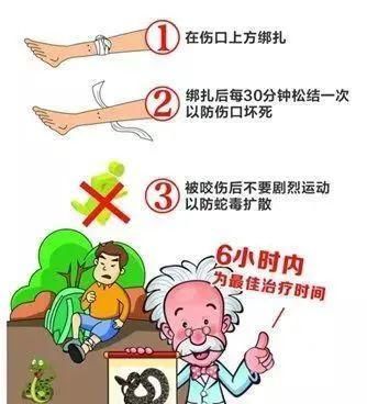  出没|当心！有蛇出没！