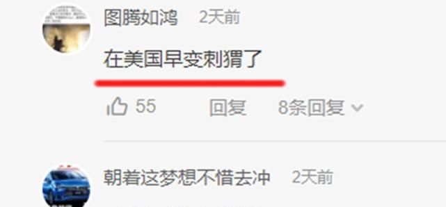 男子|打我啊！男子口嗨“拒捕”被击毙，圣母：为什么不打腿？