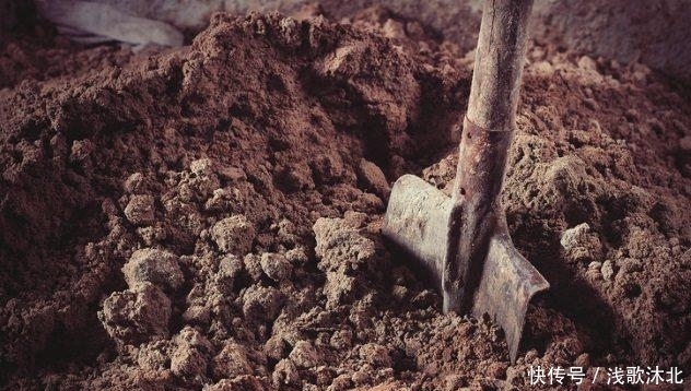  事迹|10个残忍的事迹