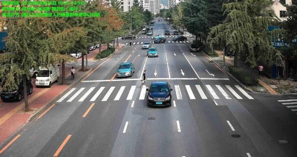 高清|高清曝光！司机行人都有！