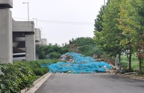 驶上|电动车违法驶上高架,交警一上午拦截处罚近100人