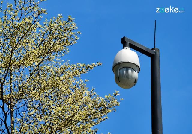  X50|vivo X50 Pro+ 拍照专项评测：强悍如此，堪称炫技