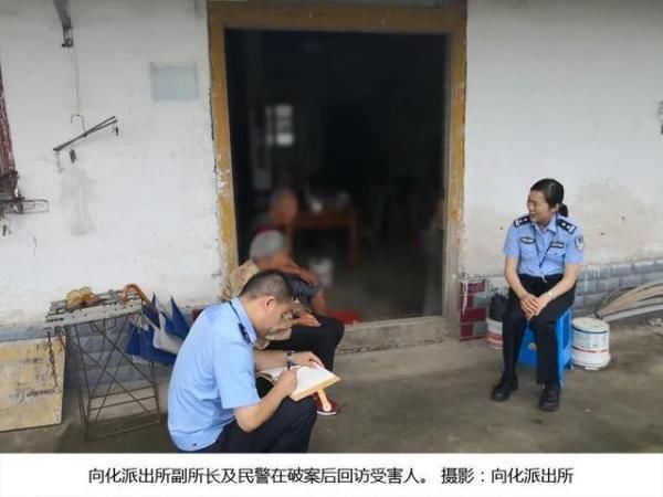  实录|【执法实录】破案：小恶亦要除