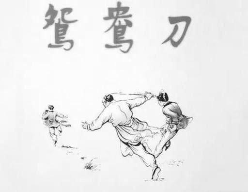  奇案|清代奇案：割其发断其舌，一场阴谋造成寡妇遭暗杀，嫌疑犯被冤杀