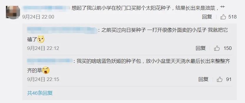  孵出来|男子网购“孔雀蛋”，结果孵出了鸭子！网友：商家没想到真能孵出来