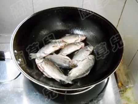  优质的鲫鱼|这种鱼5块钱一斤却没人要，其实营养非常丰富，炖一炖香极了