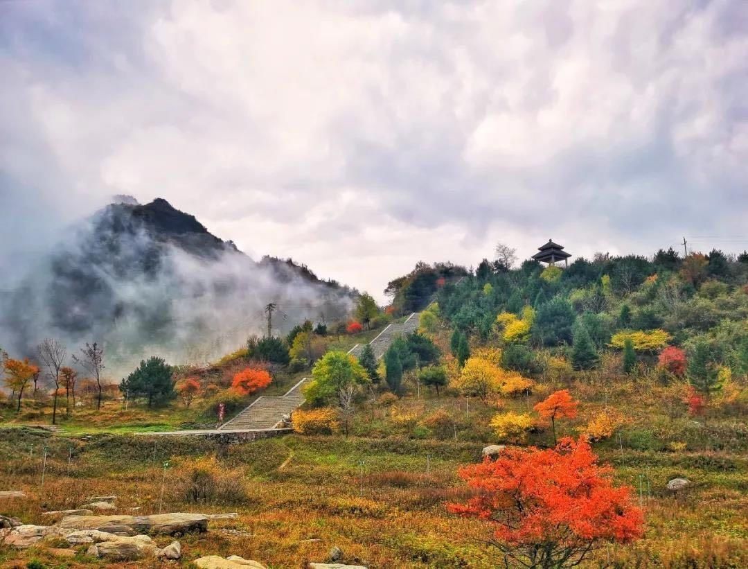  景区|王莽岭景区看点