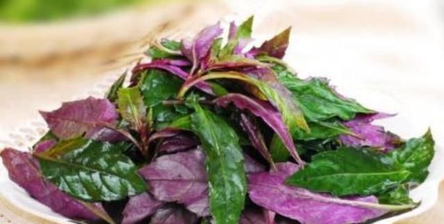 野菜|经常吃此野菜,皱纹斑点不见了,远离妇科疾病