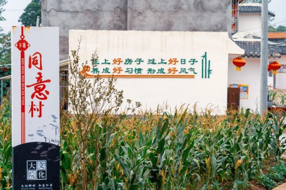  仁寿|仁寿有个村，名字叫“同意”！