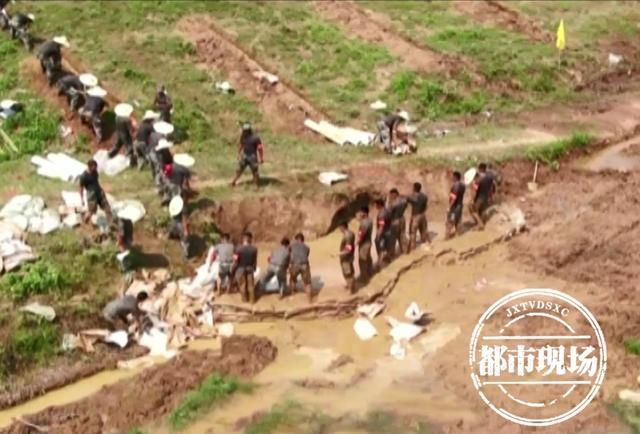  鄱阳|直击江西鄱阳抗洪抢险现场！无数感动瞬间