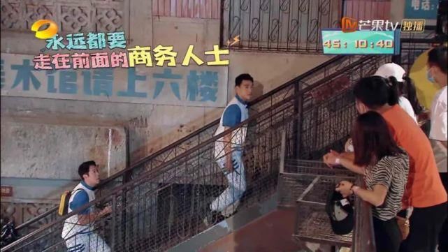  明星|这么多大腕明星，预定的爆款居然糊了？