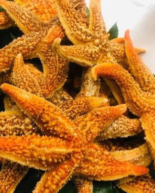 海鲜|吃遍大连-开海啦!!各种肥美的海鲜任您挑选,让你一次过足嘴瘾~