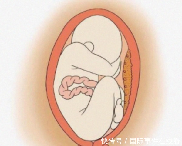  嫖客|大案纪实｜黄浦江怀孕女尸案回顾：坐台女怀孕后勒索嫖客，被杀害抛尸黄浦江