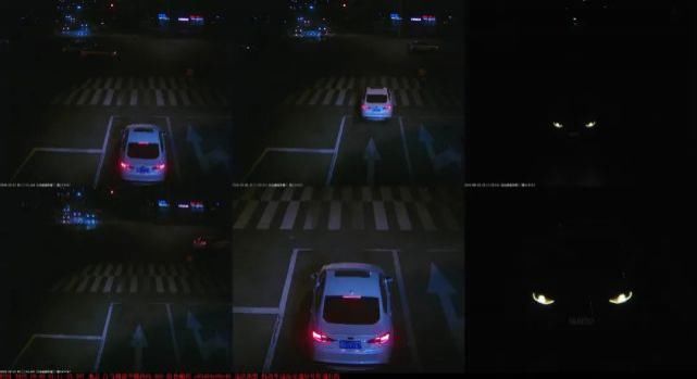 占用公交|闽AV256F、闽ASH677……一大批闽A车被曝光！