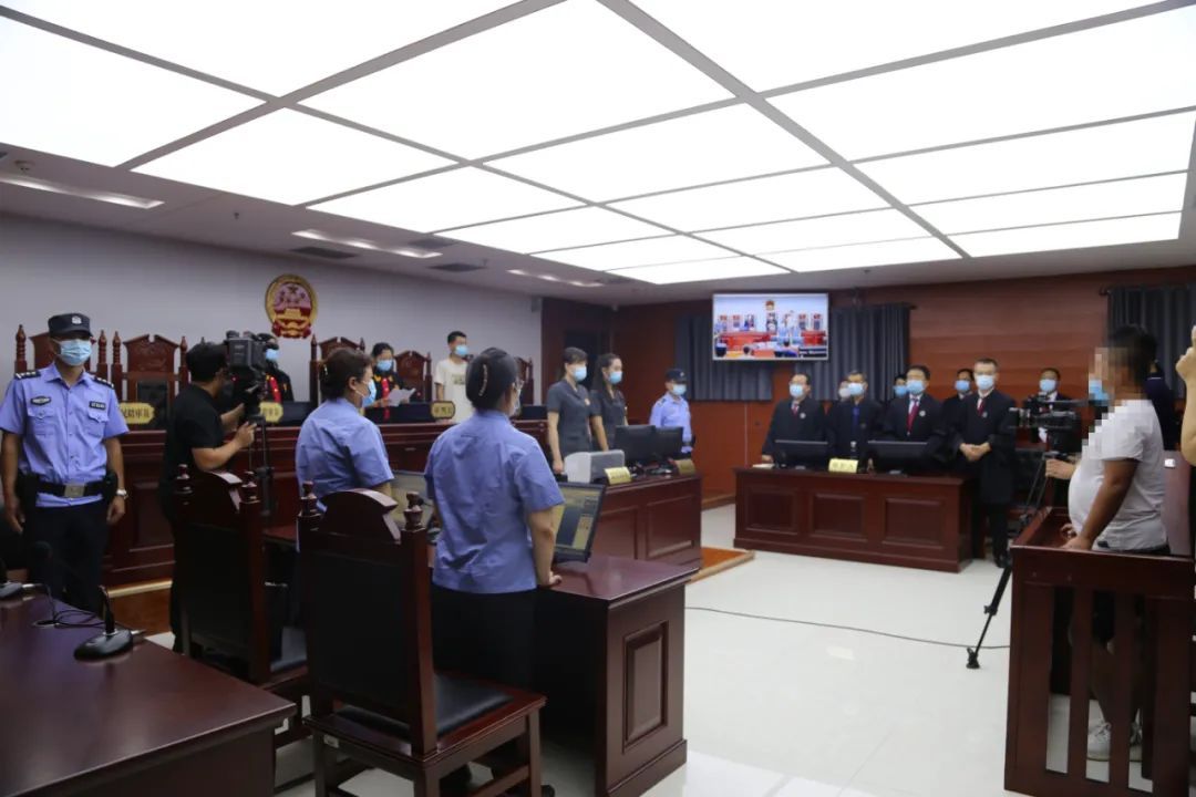  公开|陵城区法院公开宣判5件恶势力犯罪案件！14名被告人获刑！